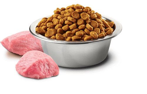 Farmina N&D Codorniz, Calabaza & Granada Neutered - Imagen 2