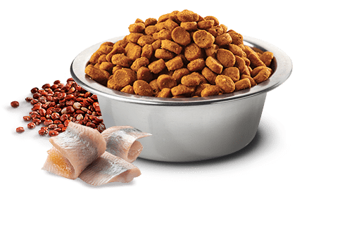 Farmina N&D Skin & Coat Arenque Adulto (piel sensible) - Imagen 2