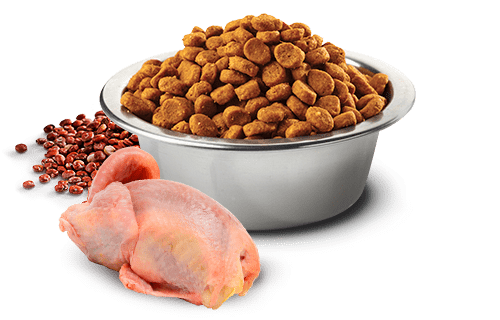 Farmina N&D Skin & Coat Codorniz Adulto (piel sensible) - Imagen 2