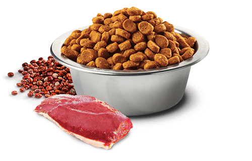 Farmina N&D Urinary Pato Adulto - Imagen 2