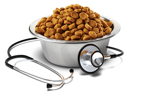 Farmina Vet Life Renal 2kg - Imagen 2