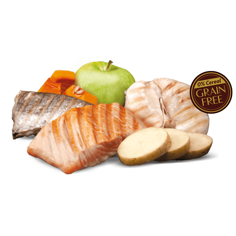 Zen Grain Free Salmon & White Fish Puppy - Imagen 3