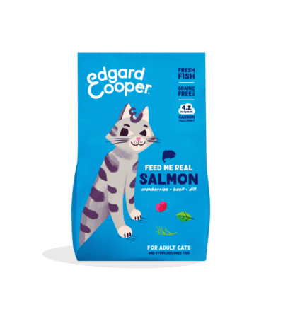 Edgar Cooper Gato Salmón fresco