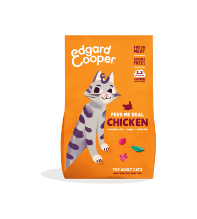 Edgar Cooper Gato Pollo fresco