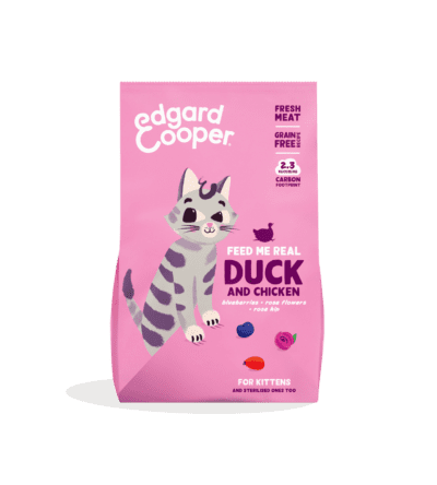 Edgar Cooper Gato Pato y pollo frescos