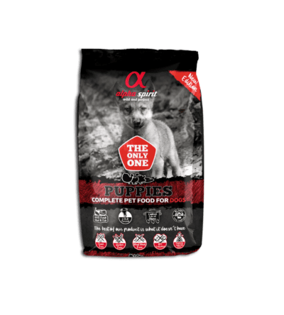 ALPHA SPIRIT ONLY ONE PUPPIES