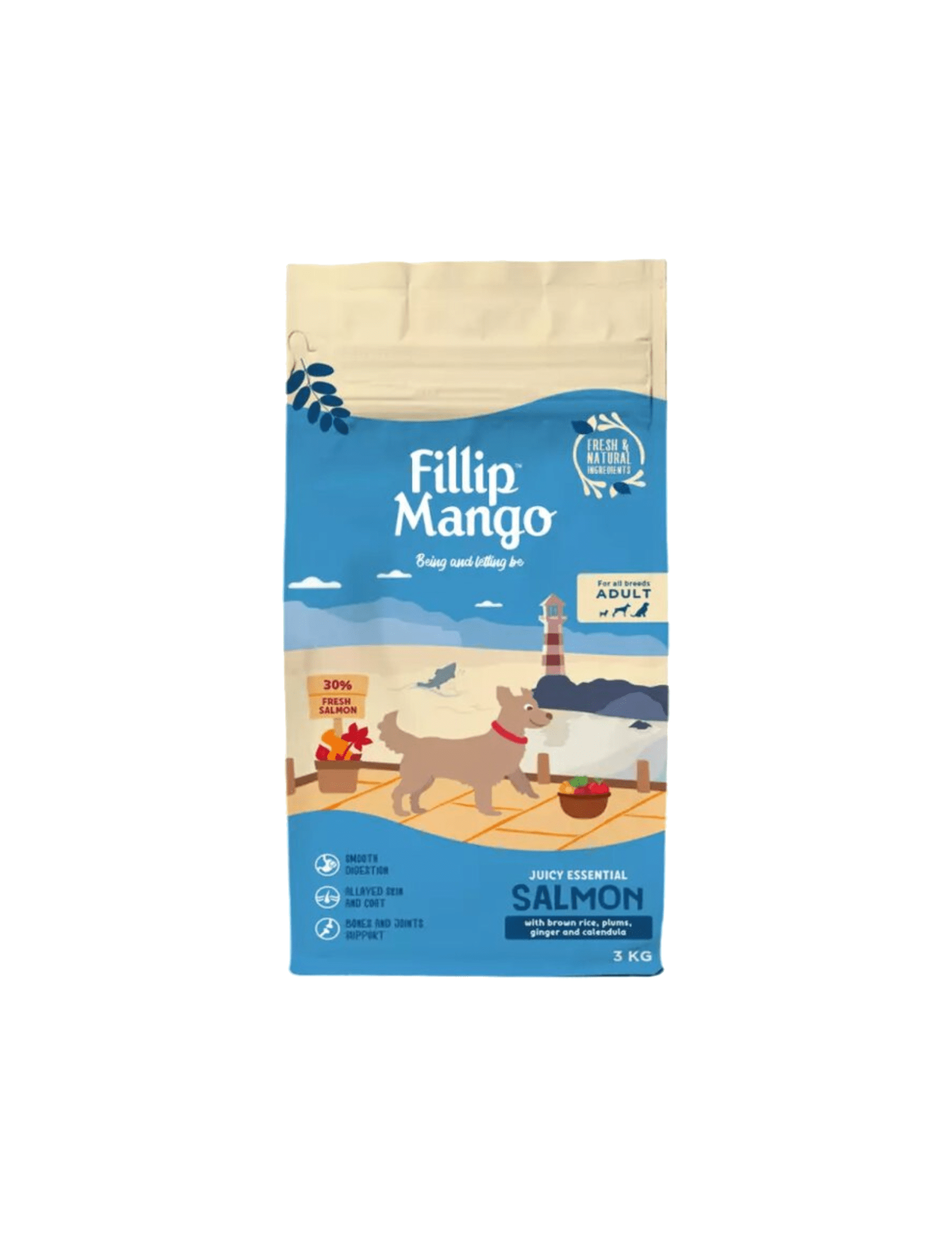 Fillip Mango Salmón y Arroz