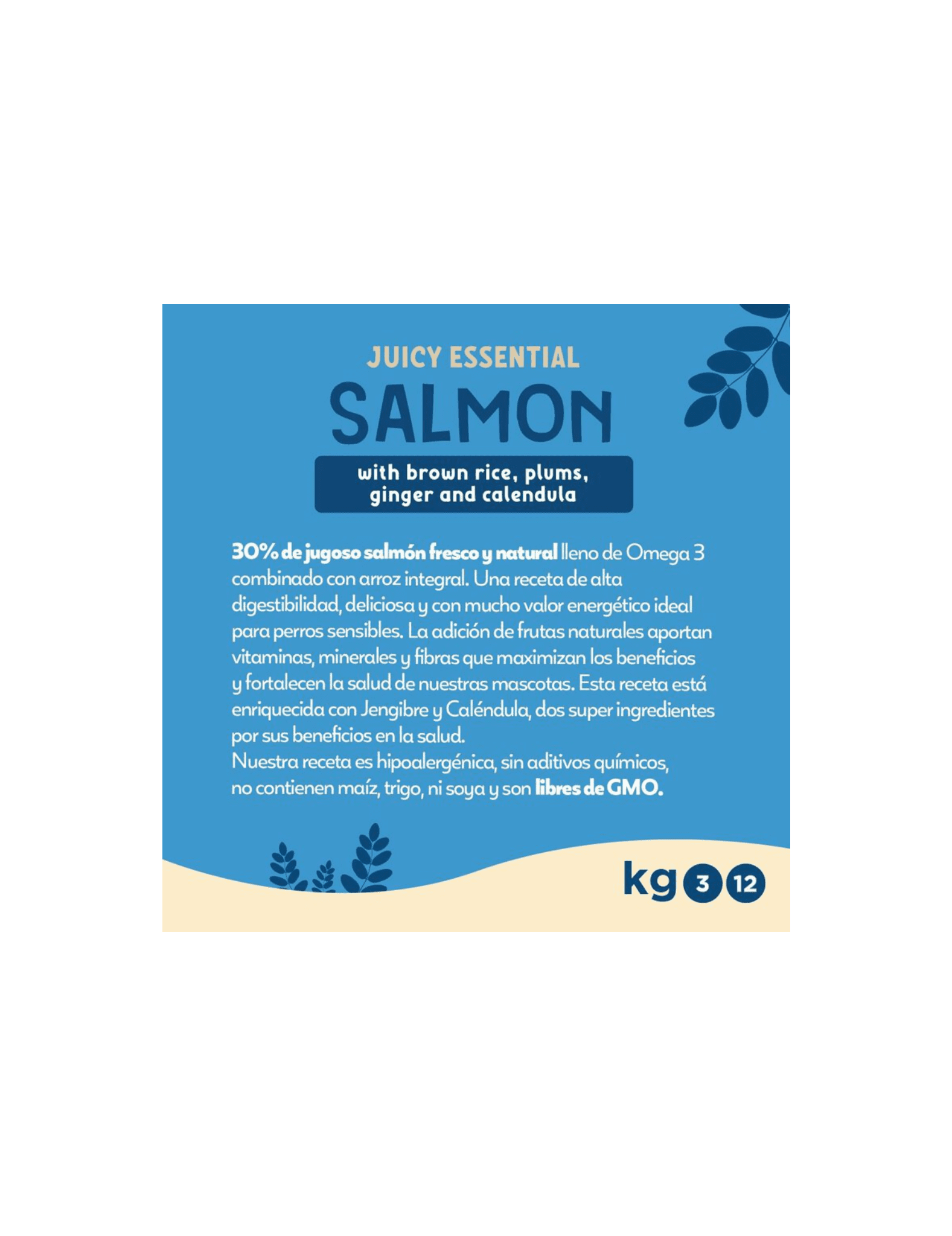 Fillip Mango Salmón y Arroz - Imagen 2