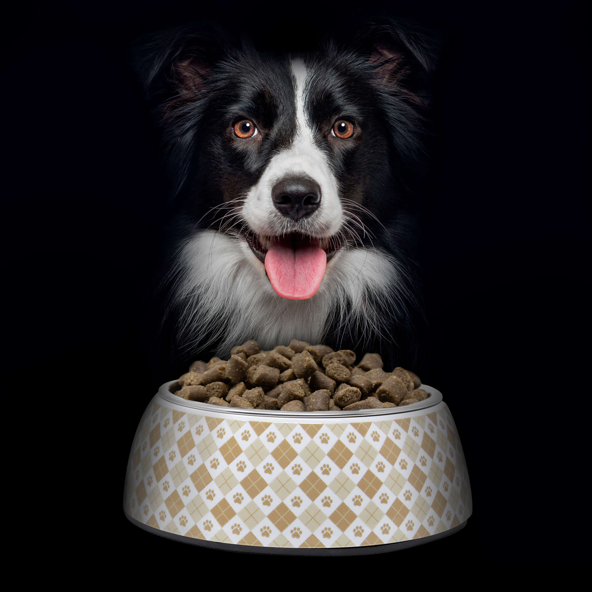 NutraDog WILD semihúmedo para perros adultos pescado y pollo 75% - Imagen 3