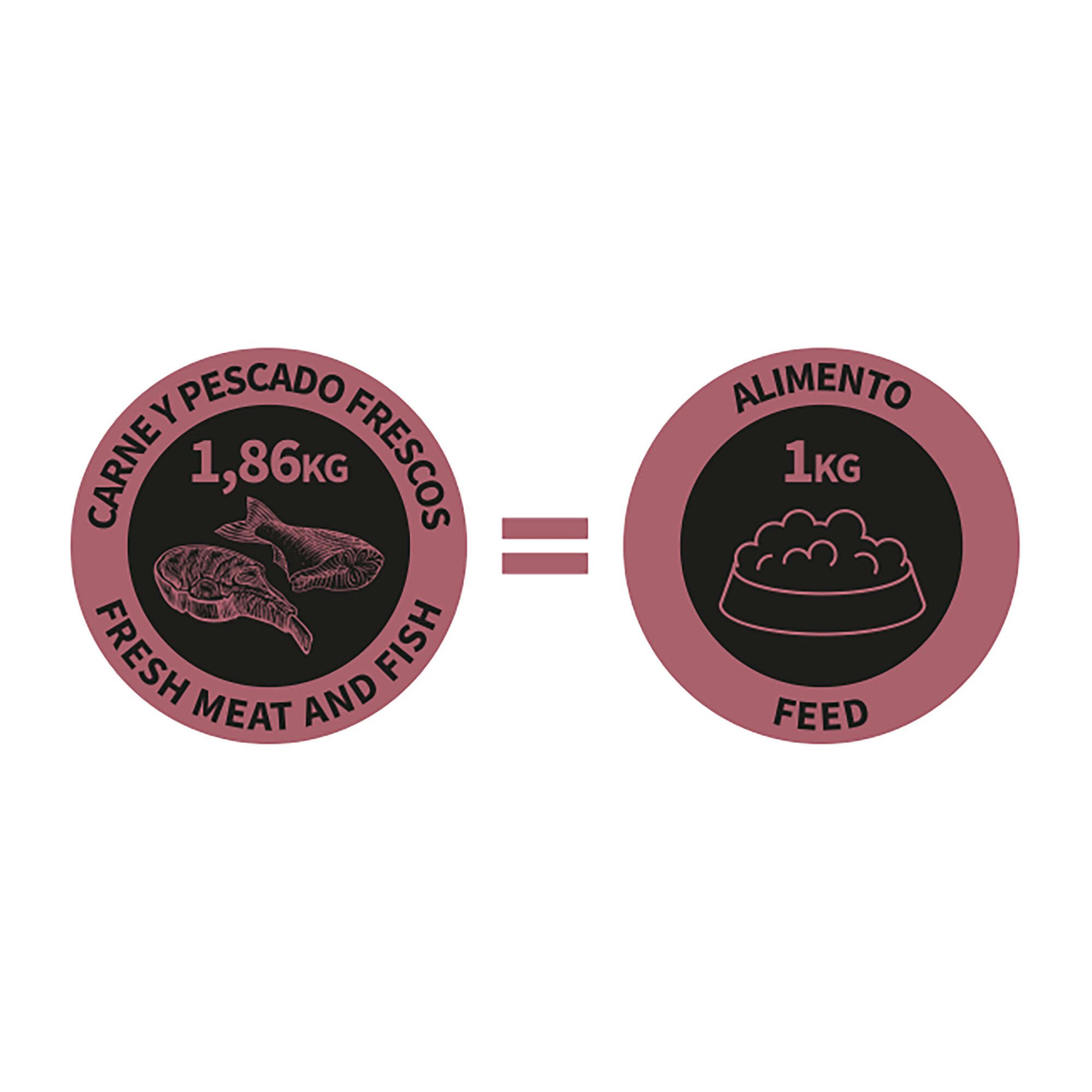 NutraDog WILD semihúmedo para perros adultos cerdo y pescado 75% - Imagen 8