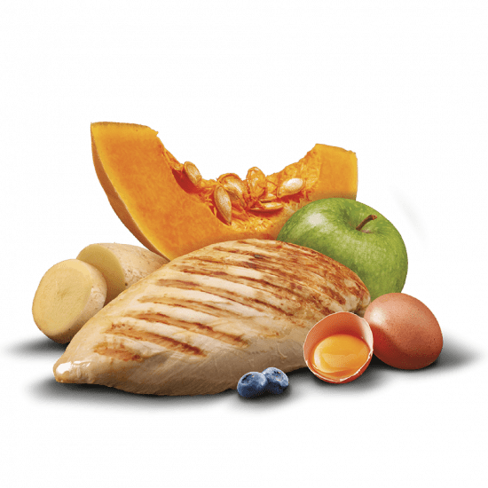 Zen Grain Free Fresh Chicken - Imagen 4