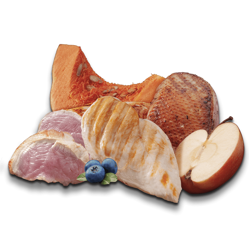 Zen Grain Free Light Chicken, Duck & Turkey - Imagen 3