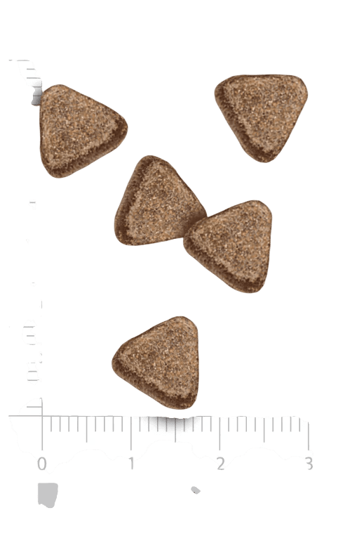 Amanova Adult Cat Exquisite Chicken - Imagen 2