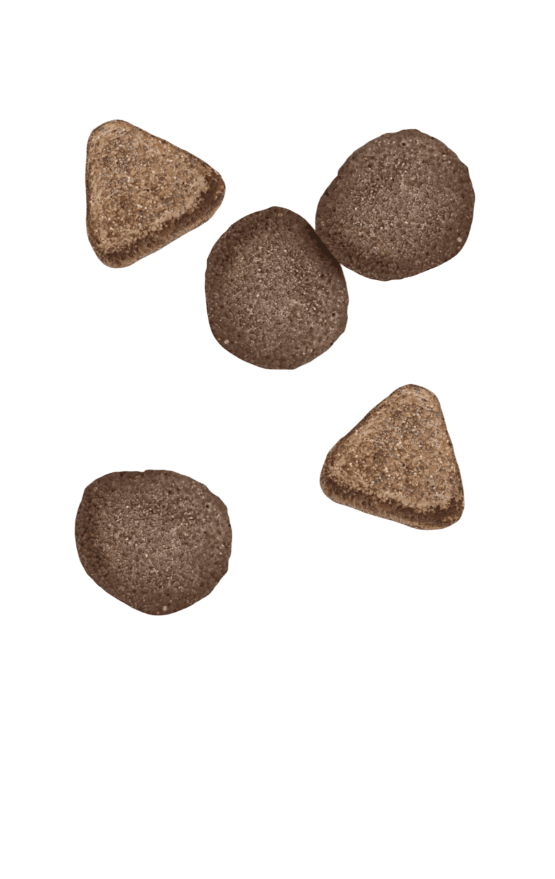 Amanova Adult Cat Delicius Lamb - Imagen 2