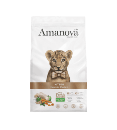 Amanova Kitten Cat Exquisite Chicken