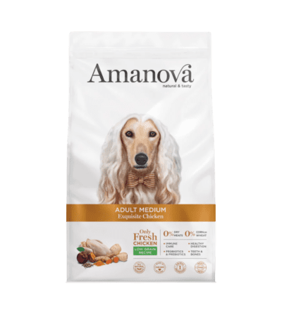 AMANOVA ADULT MEDIUM EXQUISITE CHICKEN